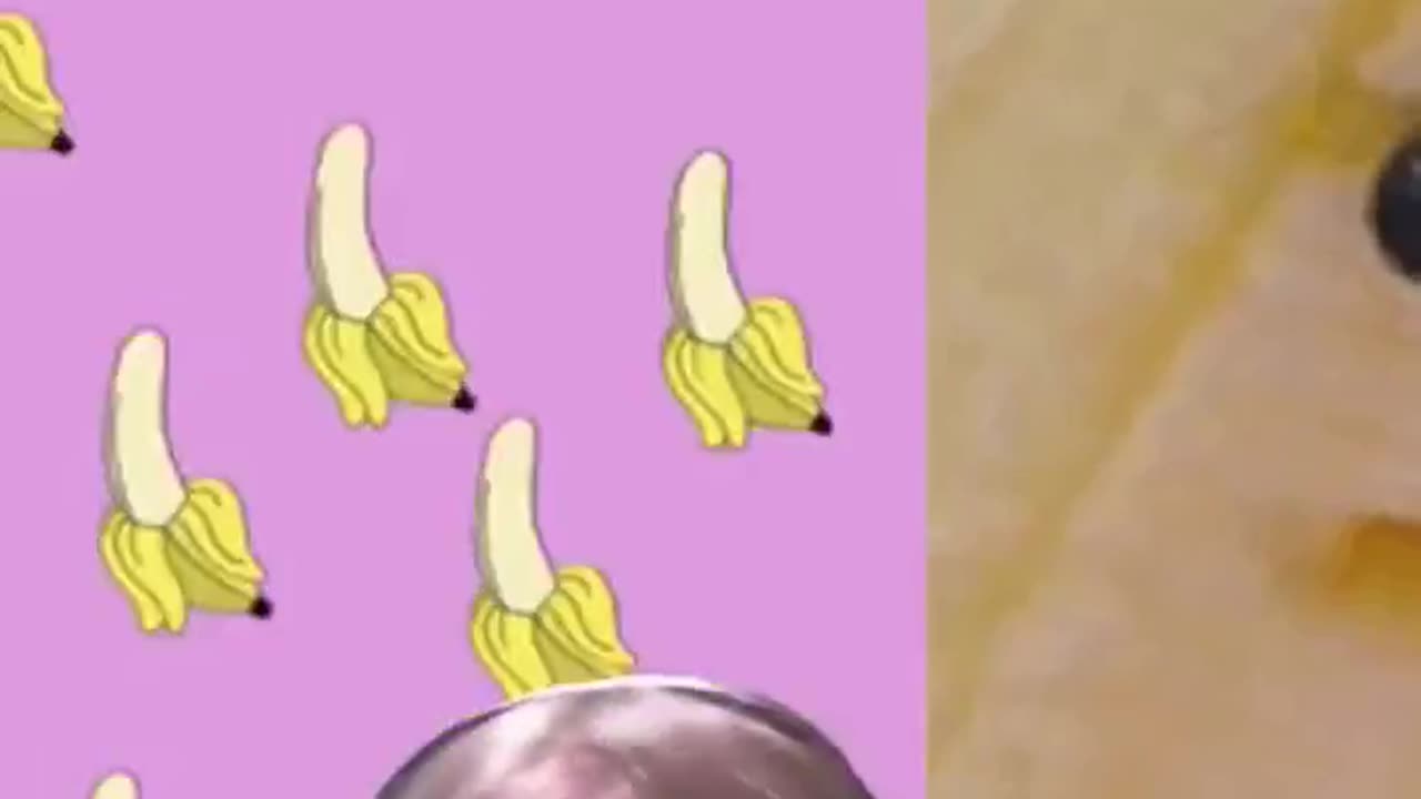 iam a banana