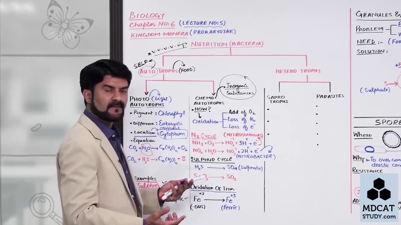 LEC#5 NUTRITION IN BACTERIA, GRANULES, SPORES AND CYST