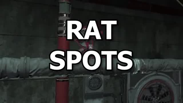 kx rank tips rat spots 1 #33333