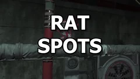 kx rank tips rat spots 1 #33333