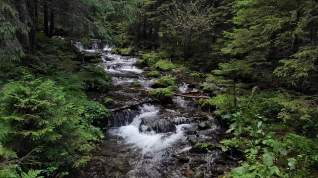 Babbling Brook sounds with Piano...Come Relax!