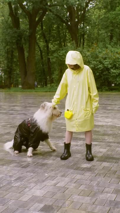 .Woman Training Her Dog In the Rain