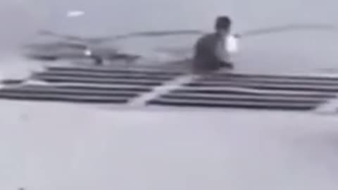 duck loses his family