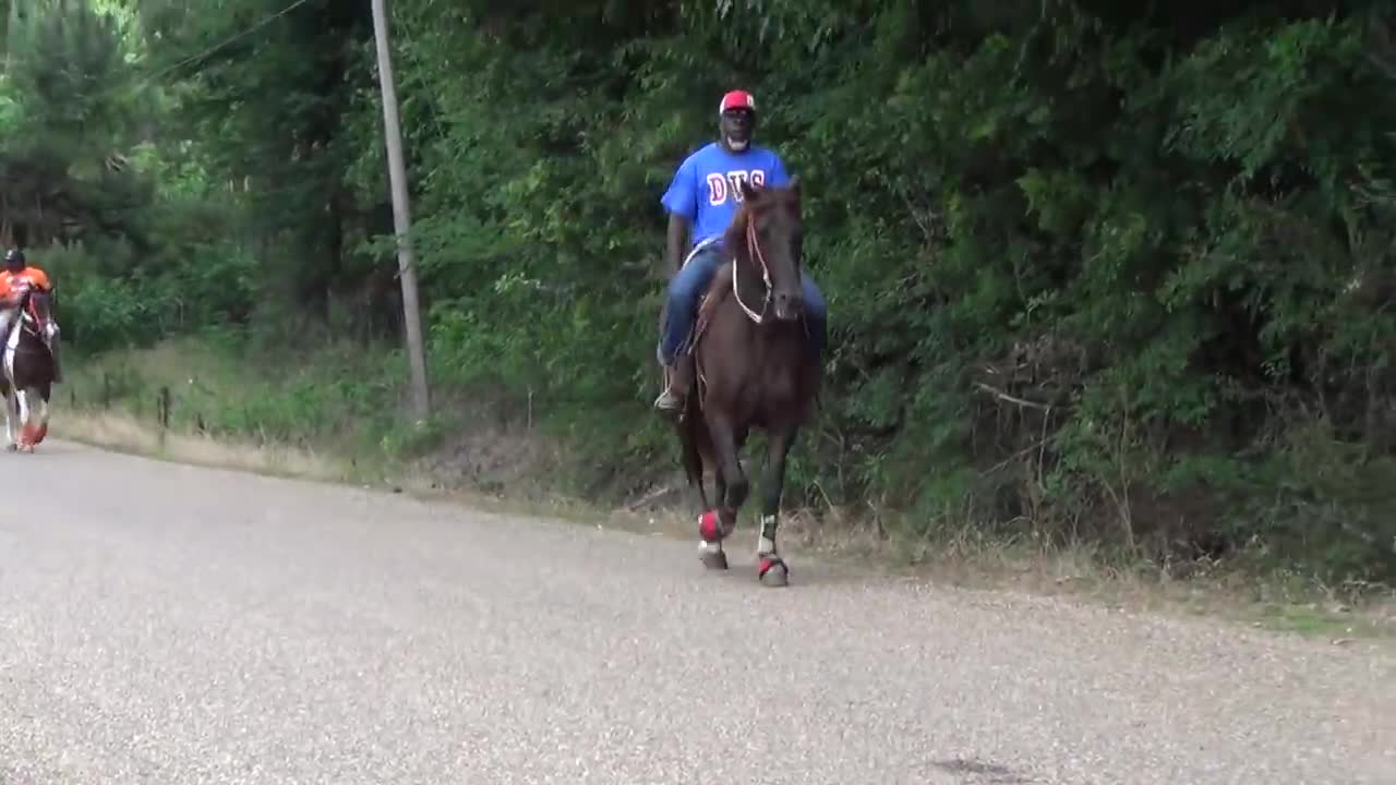 "BIG" Front Action Ryders Annual Walking Horse Trail Ride in Ogden, Arkansas-7