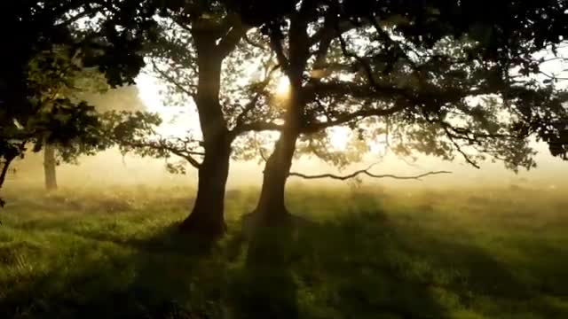 Relaxing, Calm, Stress Relief Music # 62