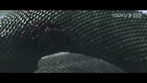 The boy became friends with a big snake when running from a monster!
