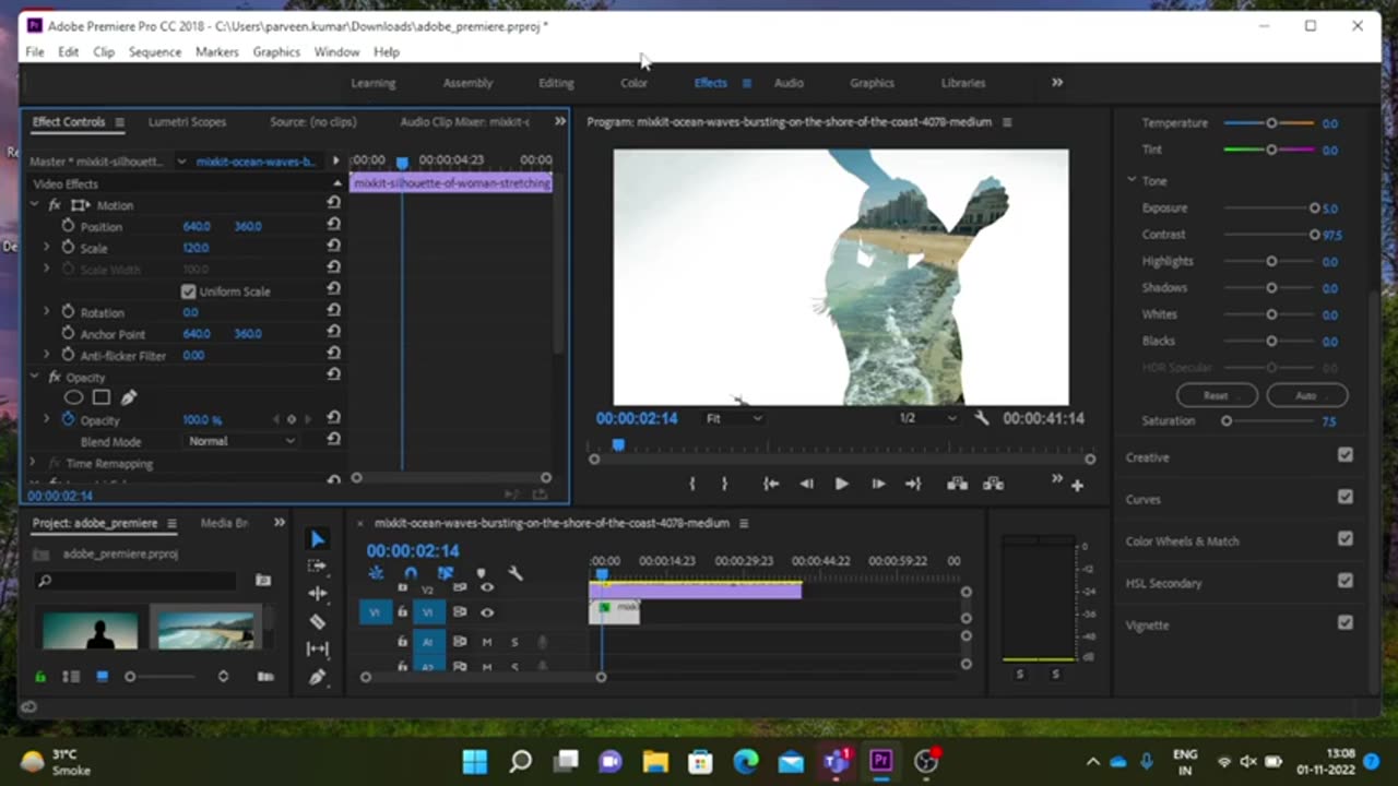 Adobe Premiere Pro – How to use Double Exposure Effect