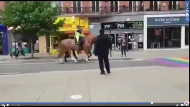 Horses refusing to cross the sodomy colours (Gemma O'Doherty) December 2022