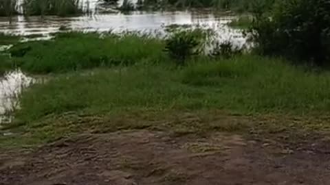 Hluhluwe Imfolozi Park roads flooded_17022023