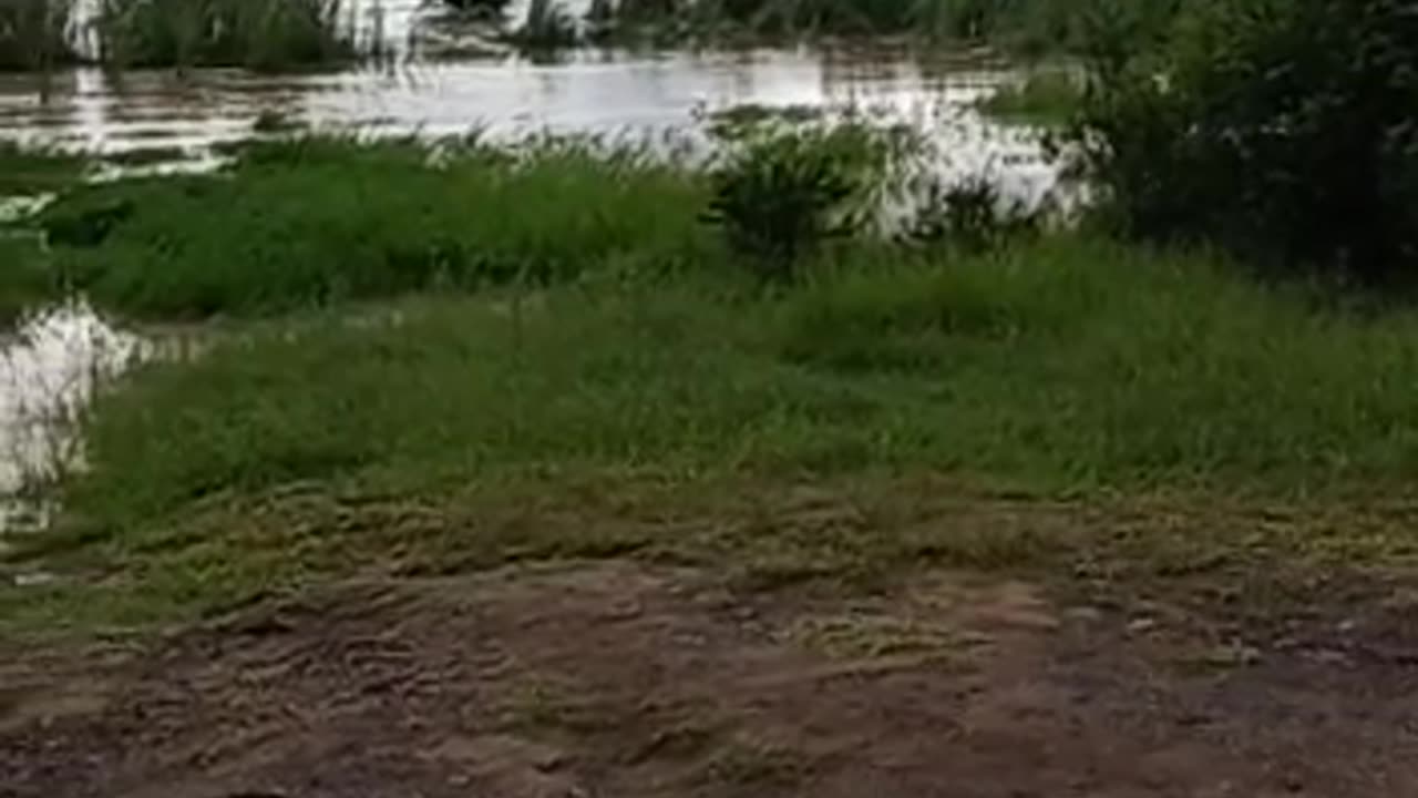 Hluhluwe Imfolozi Park roads flooded_17022023