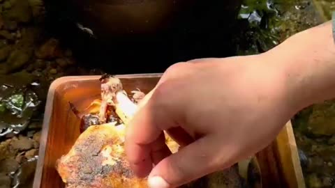 Oven chicken food in forest