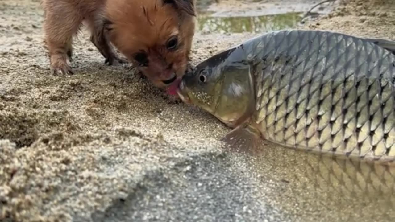 La amistad eterna