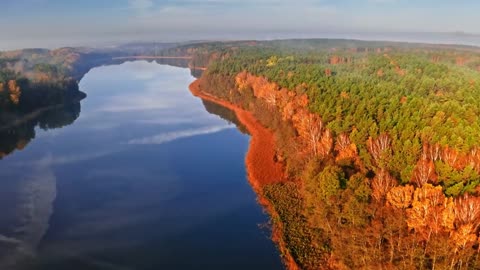 Enchanting Autumn Forests with Beautiful Piano Music