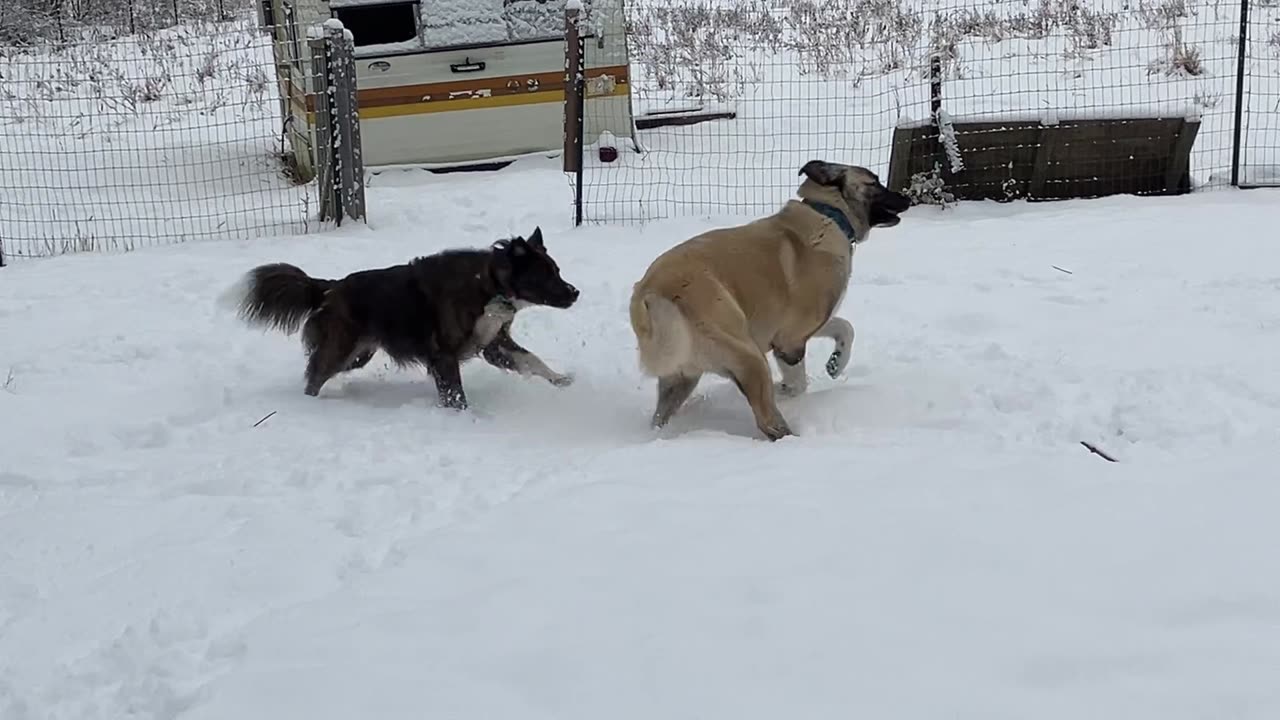 First Snow