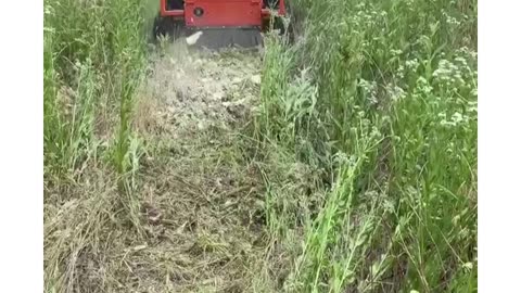 8 powerful facts about easy cut grass