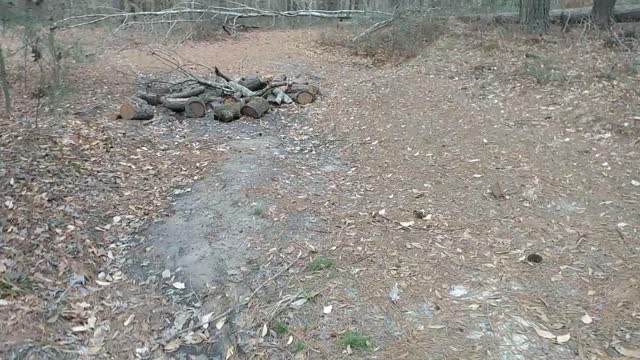 Kisatchie " extras "