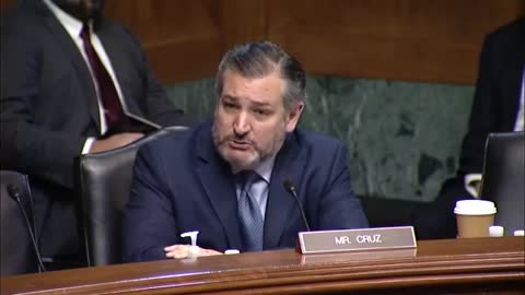 Ted Cruz Blasts Soros-Backed District Attorneys For Allowing 'Sky-Rocketing Crime'