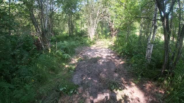 Steve's Trail Extension