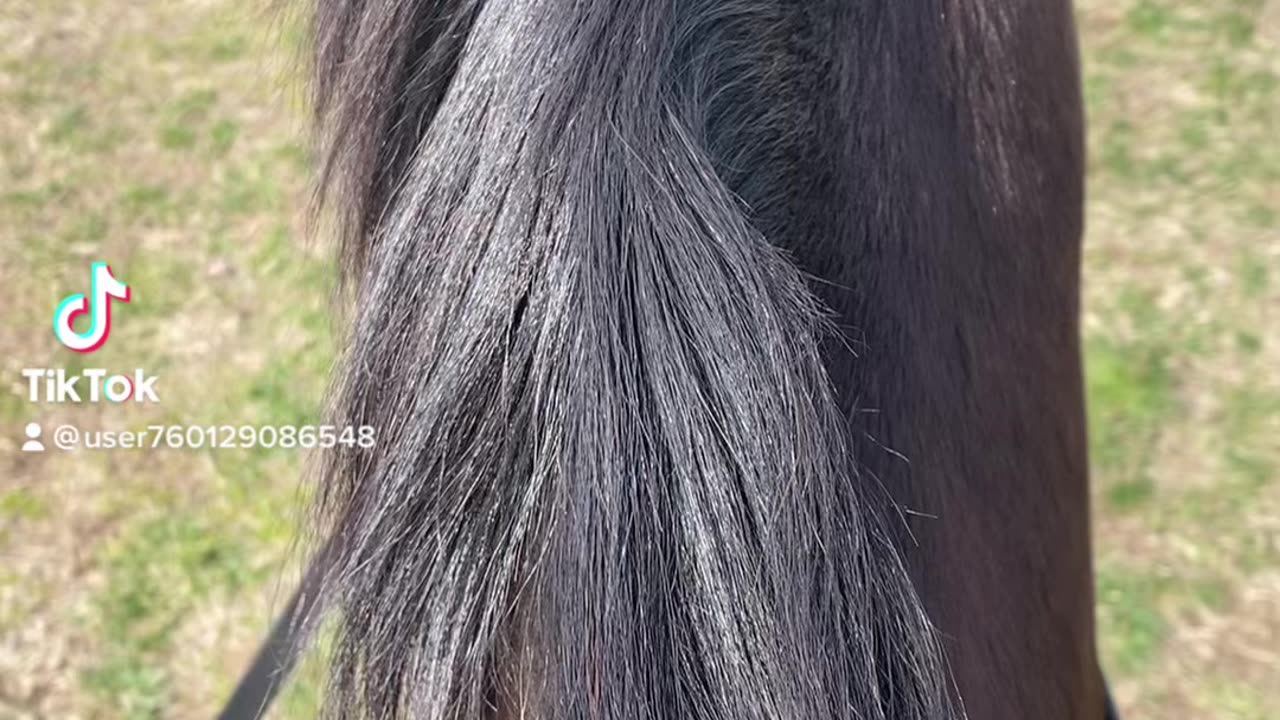 Destiny on a ride