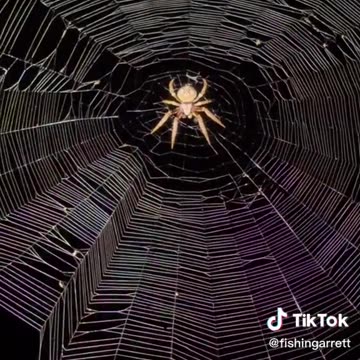 News Break: Florida Keys