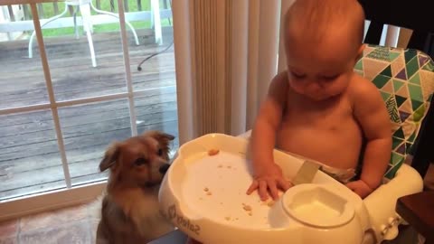 Most kids delight in playing with their pets