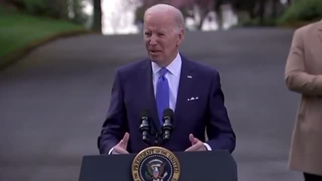 Biden: “We Should Be Paying the Brazilians Not to Cut Down Their Forest”