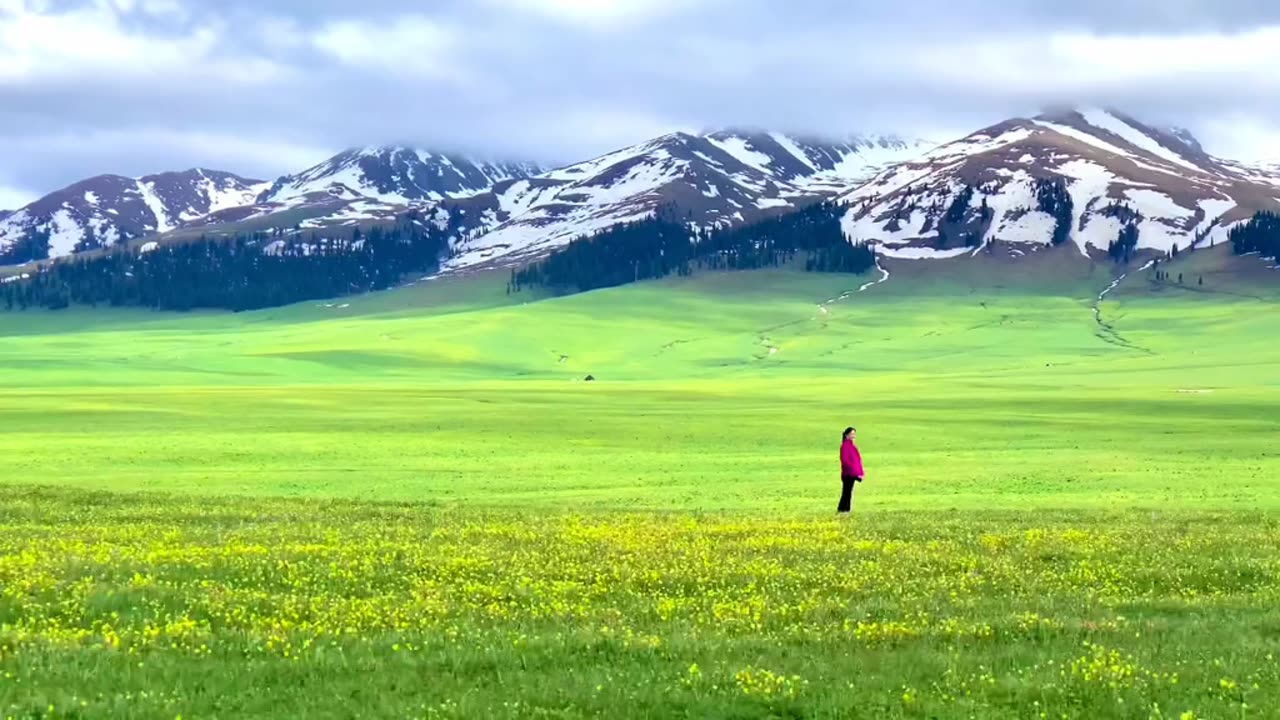 beautiful landscape
