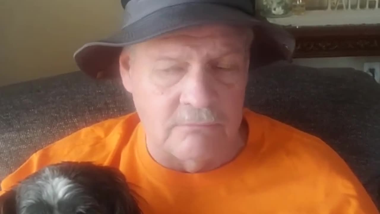 It's National Lost Dog Day