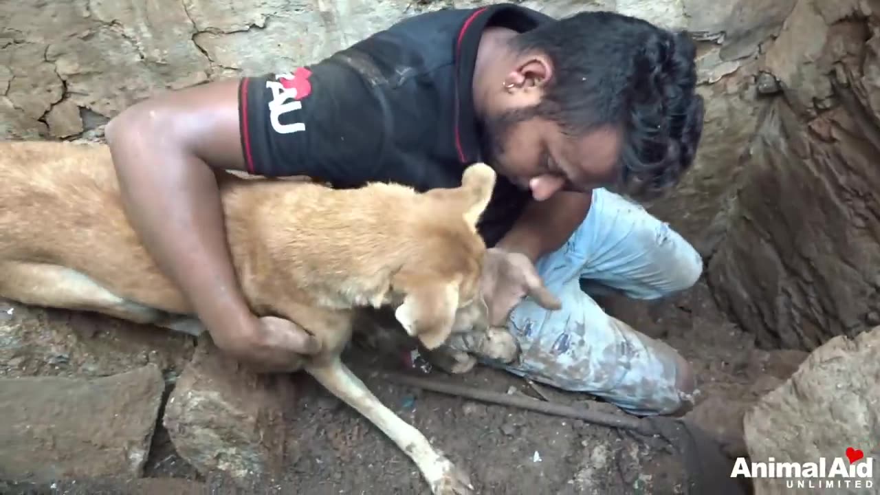 Mother dog helps rescuers dig for her buried puppies - mother love- dog lover- viral video