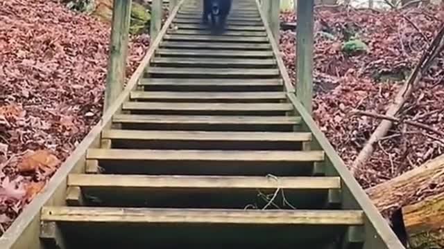 Round And Round The end😂😂