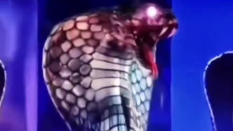 泰勒絲(Taylor Swift) 是撒旦教會前高級女祭司澤娜‧施雷克‧勒維(Zeena Schreck LeVay) 的爬蟲類女巫克隆人，也是撒旦教會創始人安東‧勒維(Anton Levay ) 的女兒/兒子。