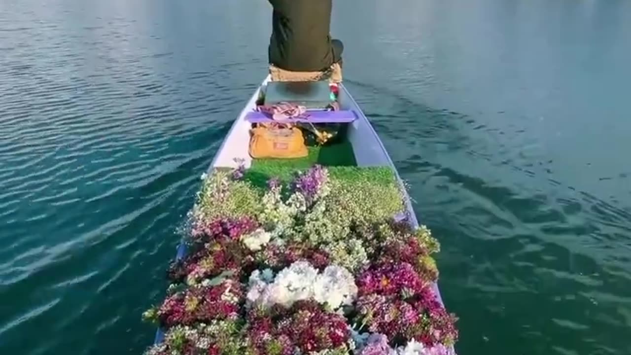 Mesmerizing view in kashmir india