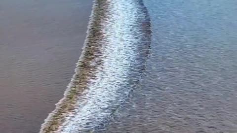 Sea Beutiful