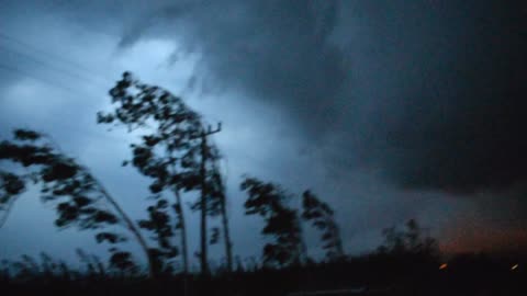 Wind knocking down a tree, severe weather in Brazil