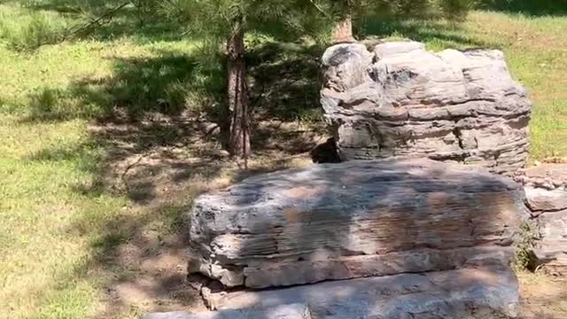 The stone by the big tree