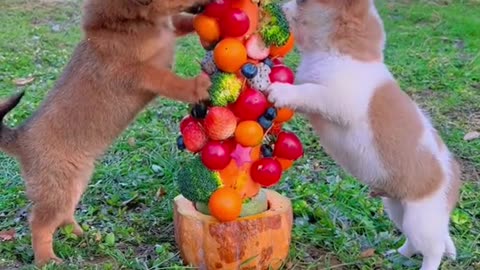 raid on mountain of fruits b two bunny