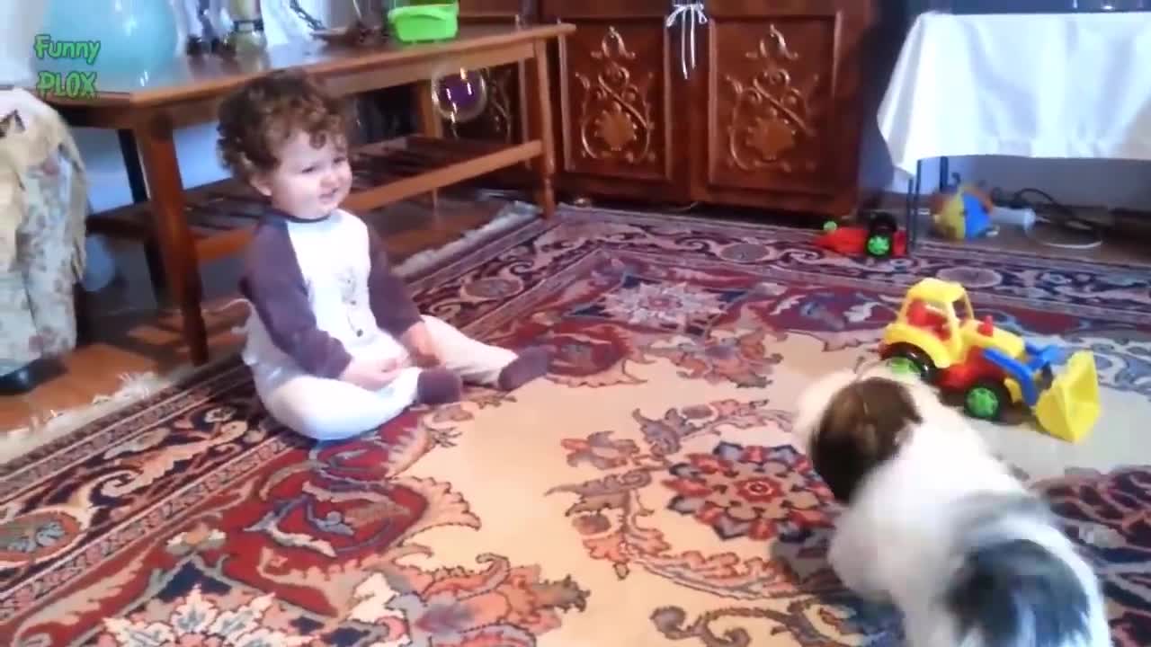 Funny Babies and Animals Video THE BEST Adorable Baby and Animals Compilation