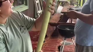 Massive Zucchini Surprises Sibling