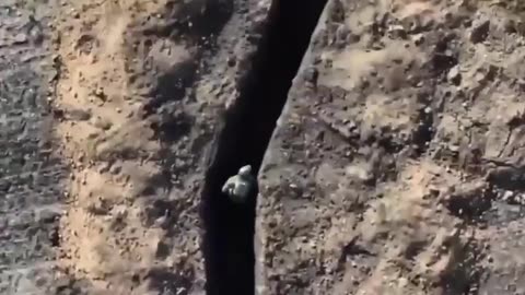 Russian Soldier Runs From Ukrainian Drone