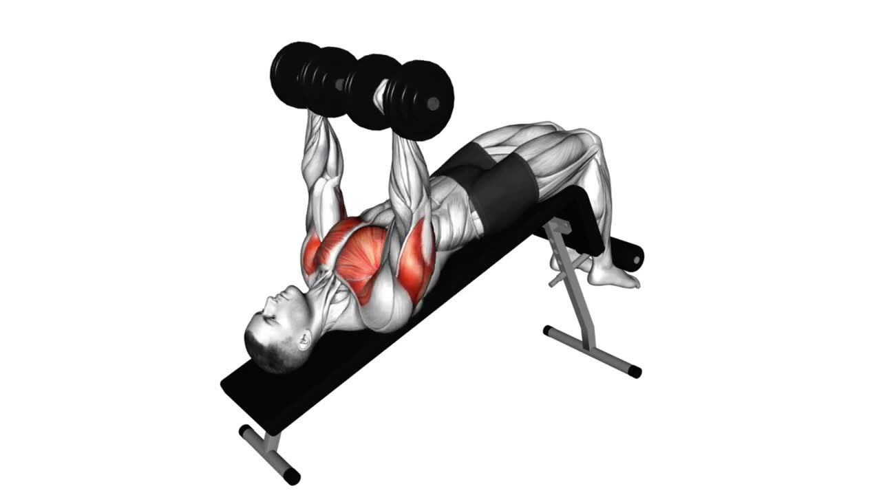 All basic exercises for the chest: with dumbbells, with barbell, with your own weight(10 exercises)
