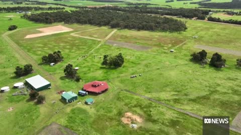 Man killed in Western Australia after being attacked by his 'pet' kangaroo