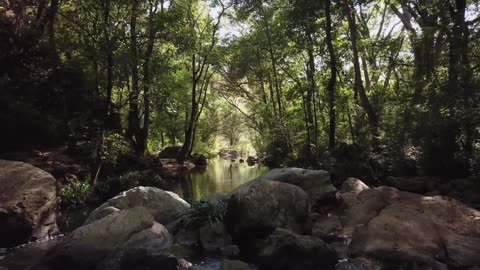 "Unveiling Nature's Majesty: A Visual Symphony of Landscapes"