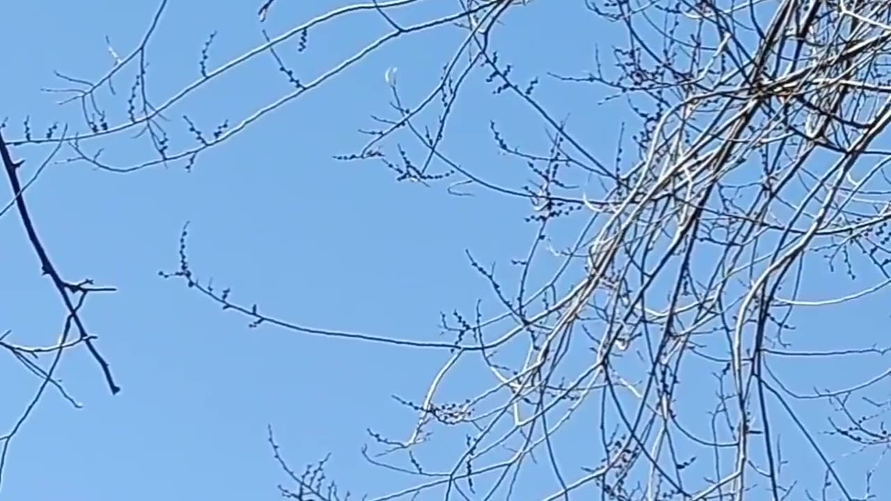 Chemical "Plane Art" Over The Sierra