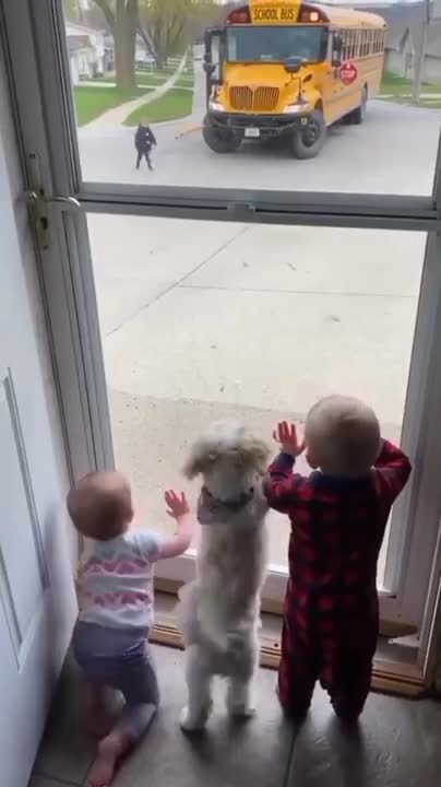 Brother and doggo are excited to see their brother