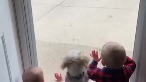 Brother and doggo are excited to see their brother