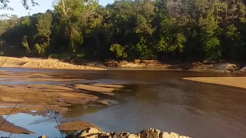 5.11.2024 The Barron River, Kuranda (4)