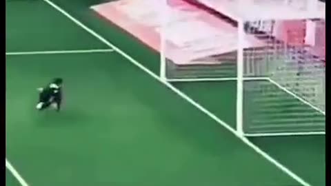 Funy cat goal