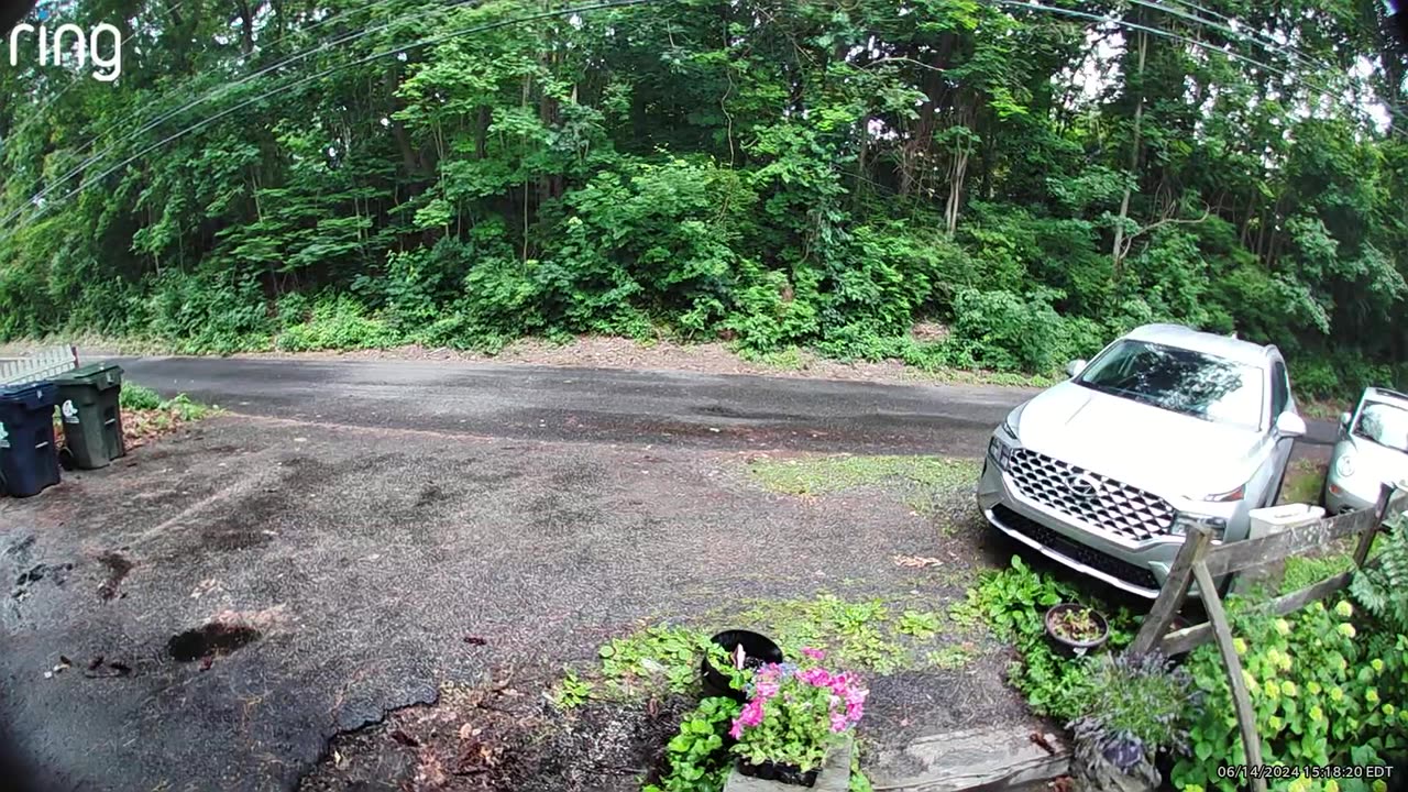 Man Startled By Bear On His Way Out