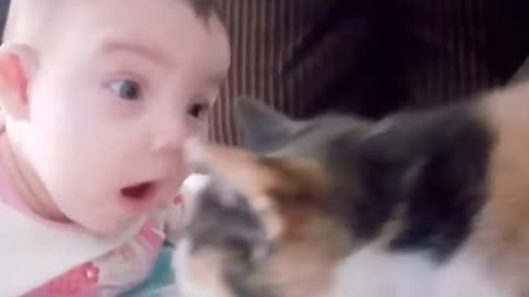 Cats love babies video 2023 🐈🥰 Beautiful animals cats lovely video