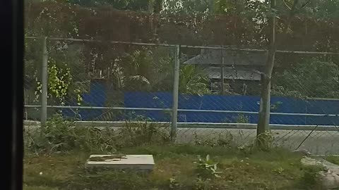 National Zoo Bangladesh